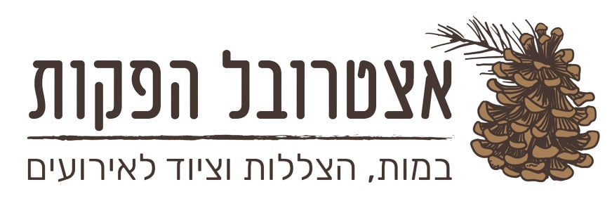 בניית אתרים - אצטרובל